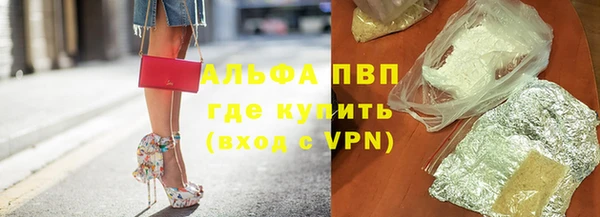 сатива Армянск