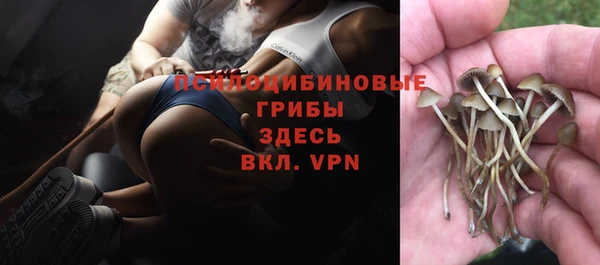 герыч Арсеньев