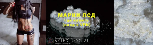 сатива Армянск