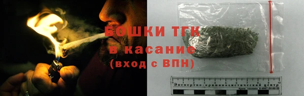 сатива Армянск