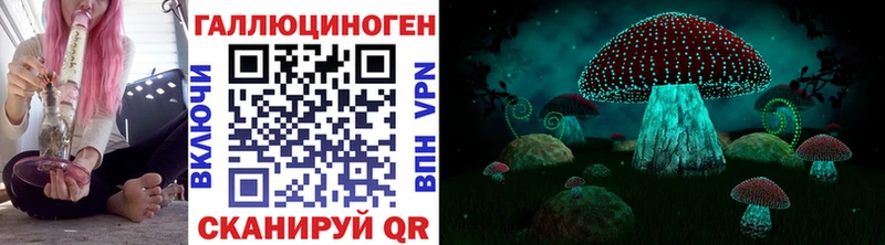Галлюциногенные грибы GOLDEN TEACHER  Купить где  Бузулук 